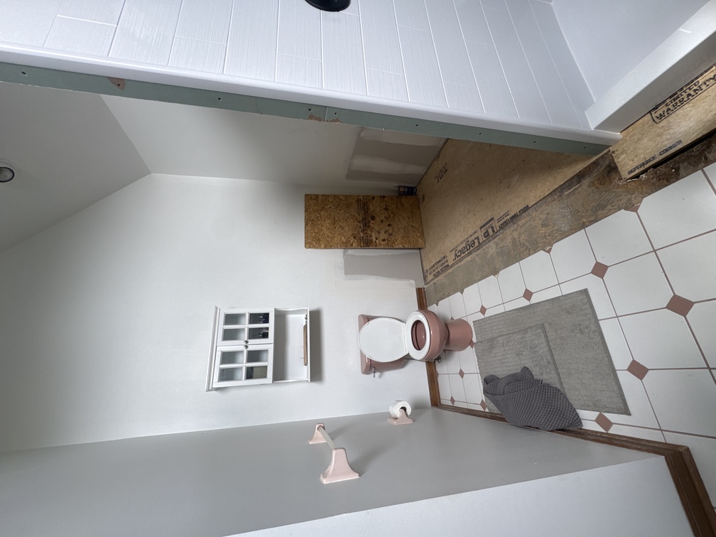 Bathroom Remodel - From Dated to Modern